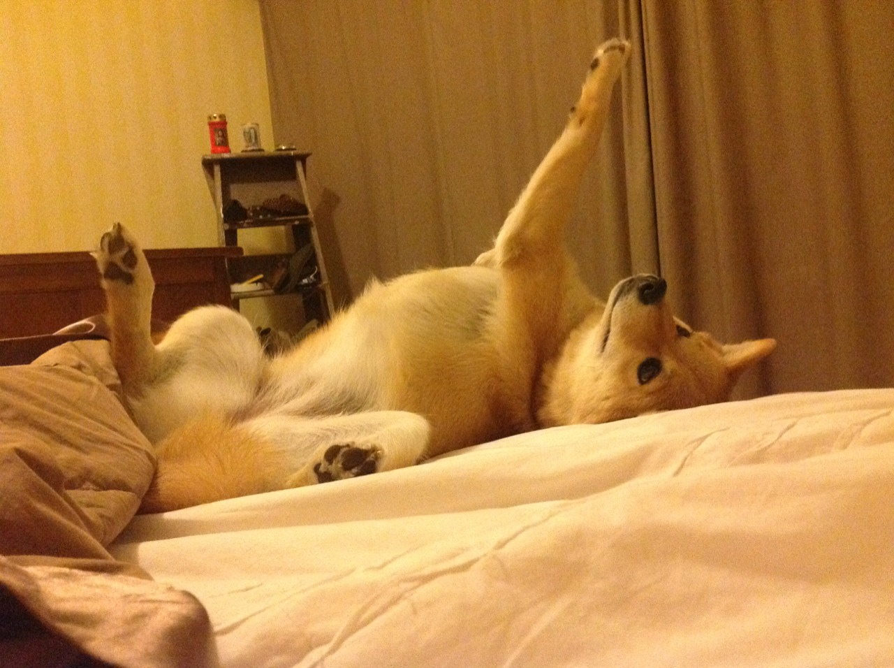 火力全开，雷恩车队在F1摩纳哥街道赛焦点战中压制秘鲁黑马