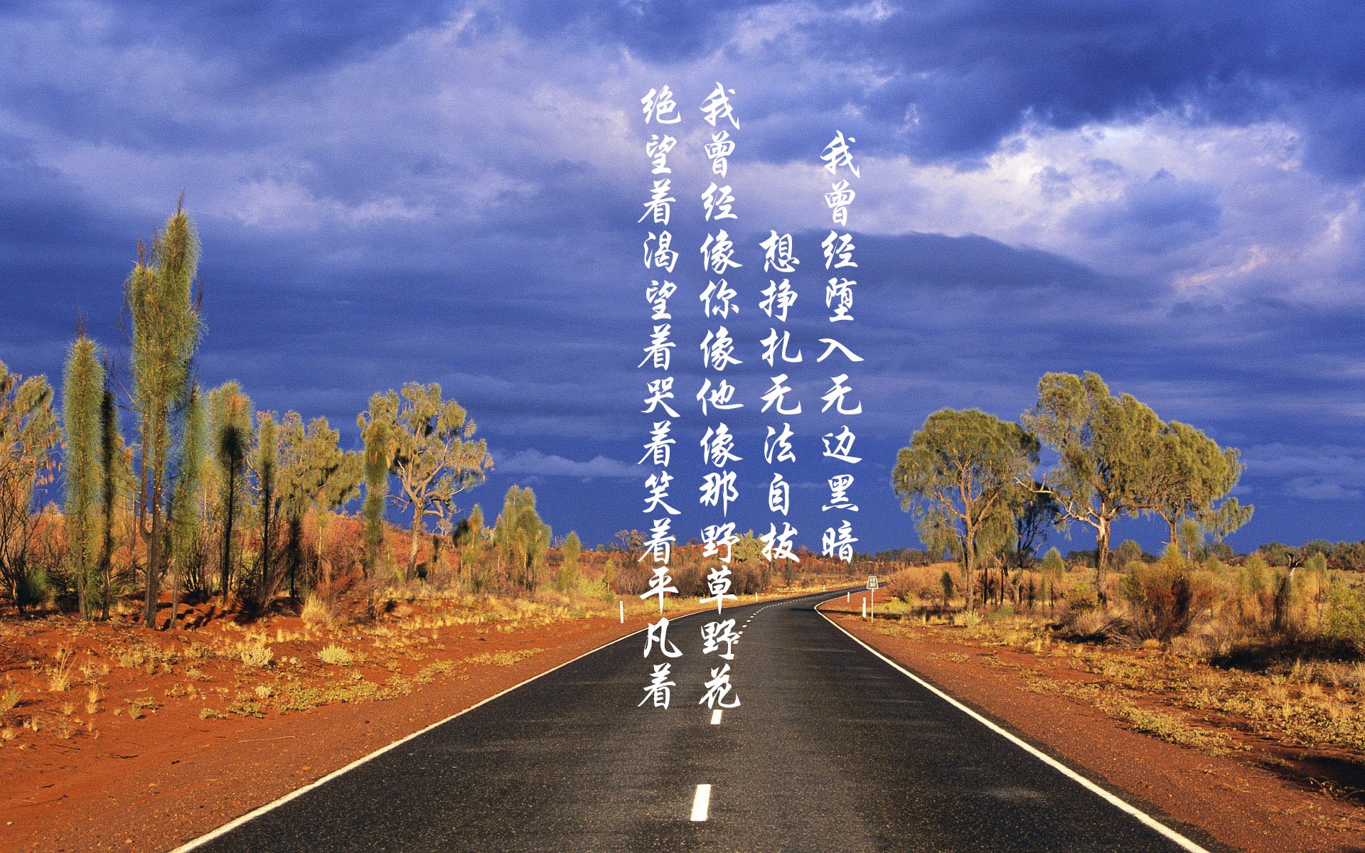 非洲杯上演篮球式决战，加纳与喀麦隆的绿茵总决赛