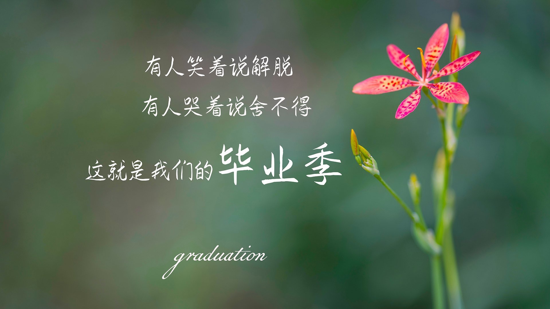 广厦得分海啸淹没奇才，乔治执掌关键时刻的权杖