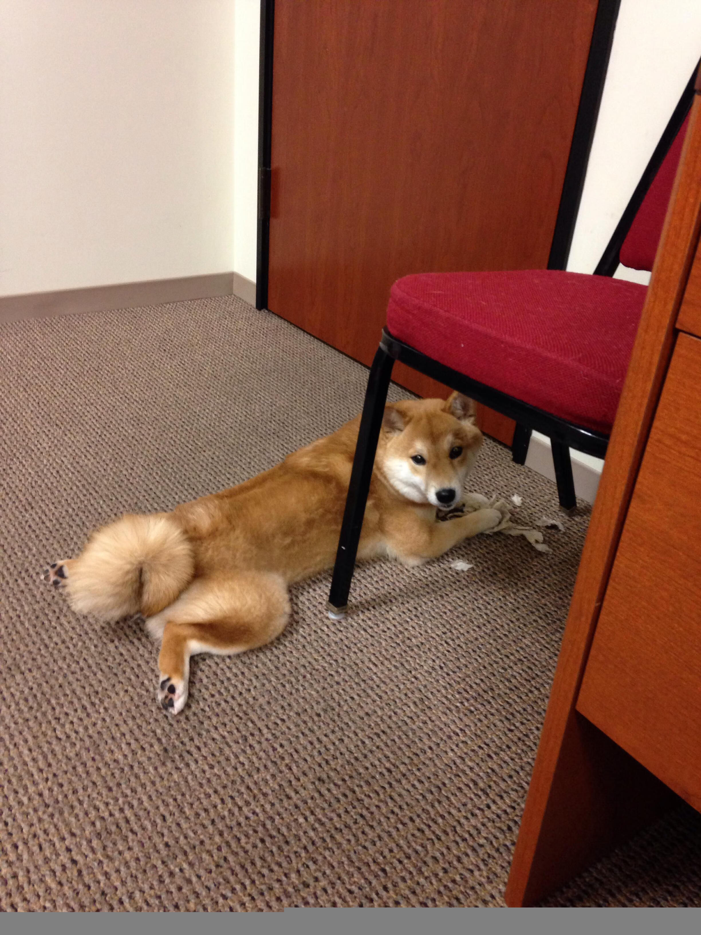 当拉梅洛成为太阳与独行侠第四节的神秘代码