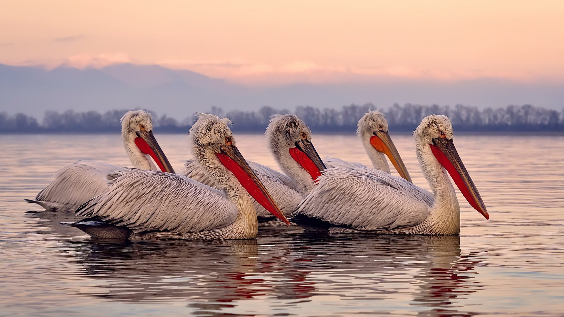 铁幕降临斯德哥尔摩，乌克兰电竞队制霸瑞典，托尼全程高能输出引爆全场