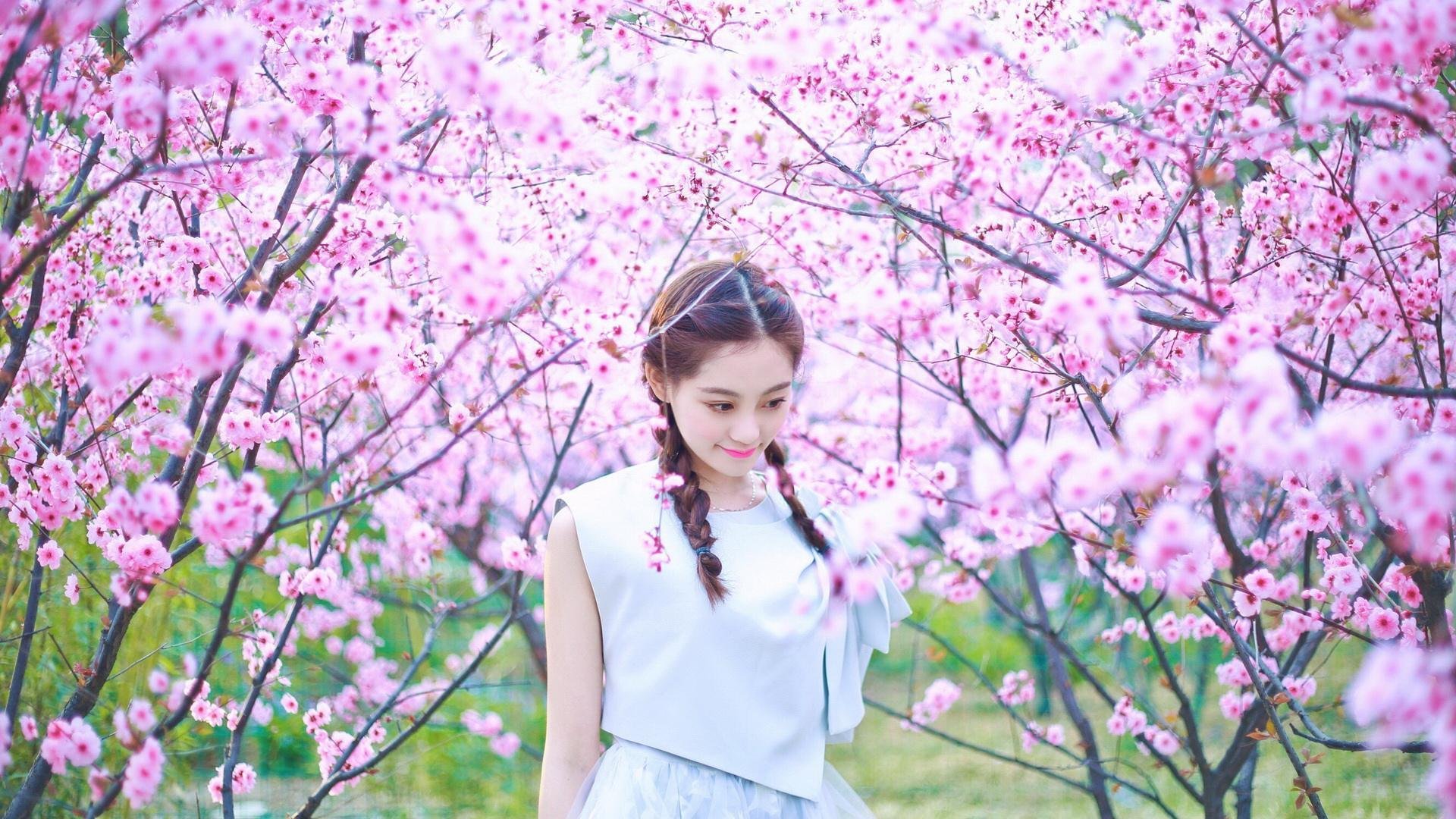 拔地而起，深圳男篮斩落太阳的烈焰征途