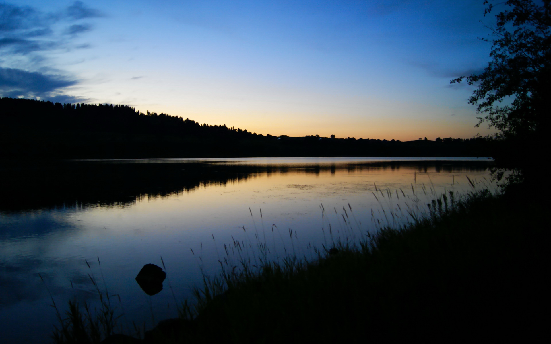 恩比德上演降维打击,一己之力构建禁飞区,彻底锁死猛龙生机