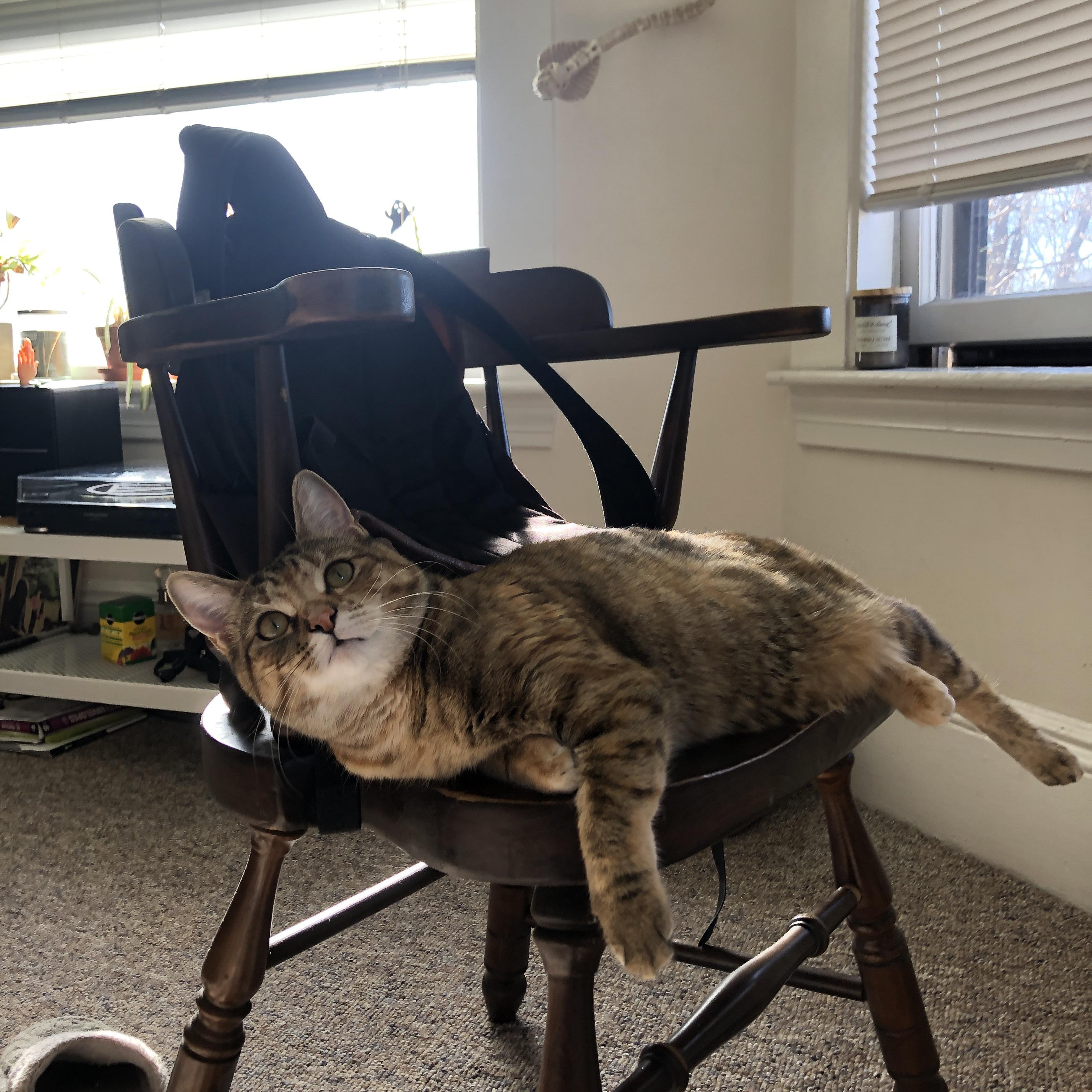 奥运烽火台前，杰伦·格林点燃燎原之势