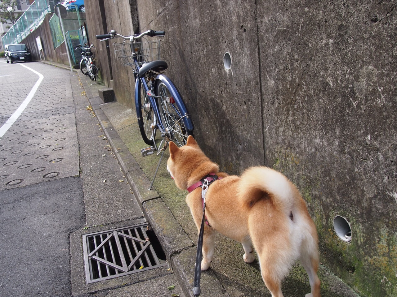 舞台的灯光，与计时钟的最后一响