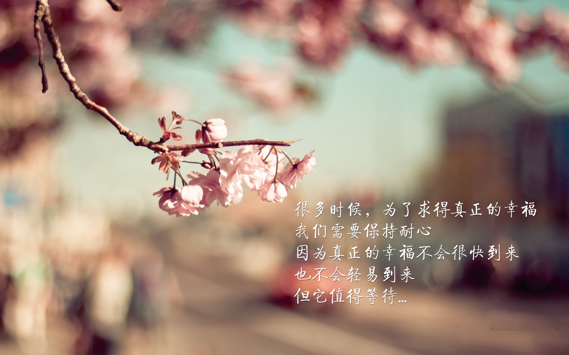 孤星陨落与袋鼠崛起,2026世界杯小组赛焦点战,莫德里奇独木难支,澳大利亚血洗捷克创奇迹