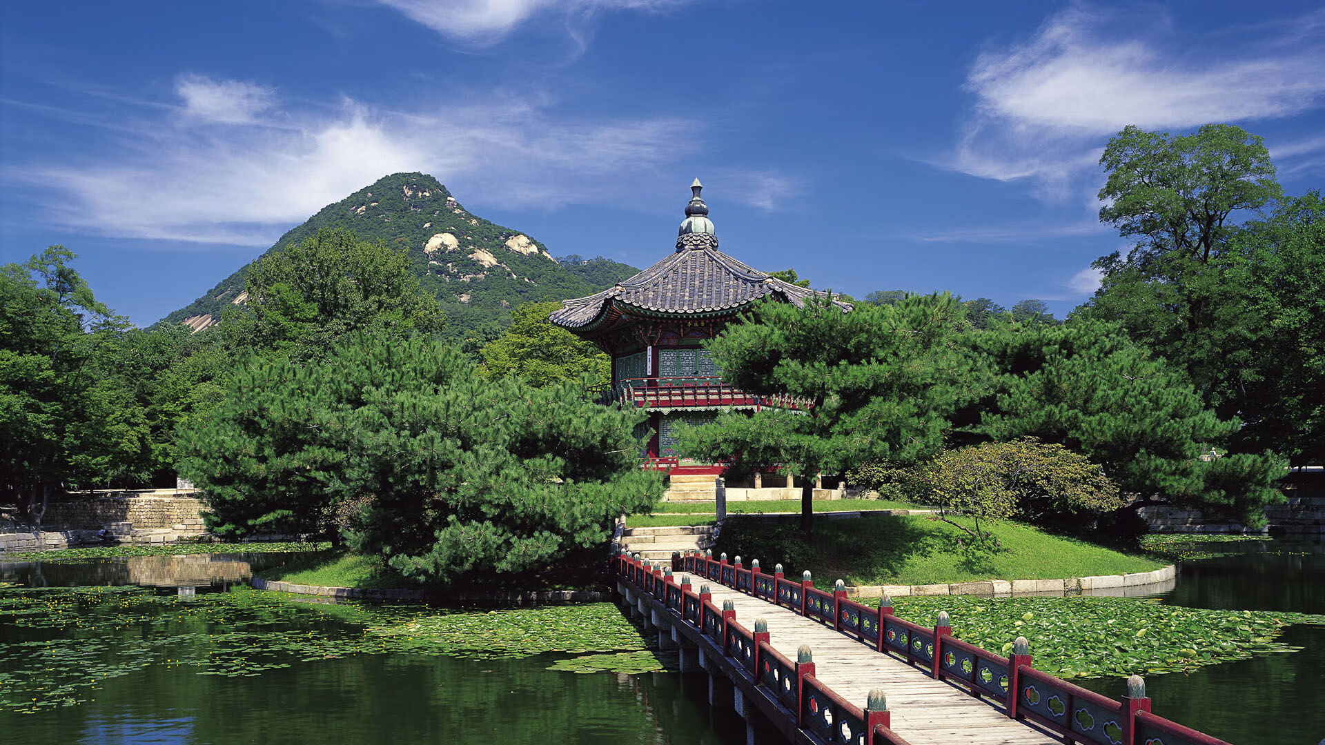 北域之炎,南美之寒,德容用热带悖论击碎哥斯达黎加的狂欢,书写2026最冷血的半决赛
